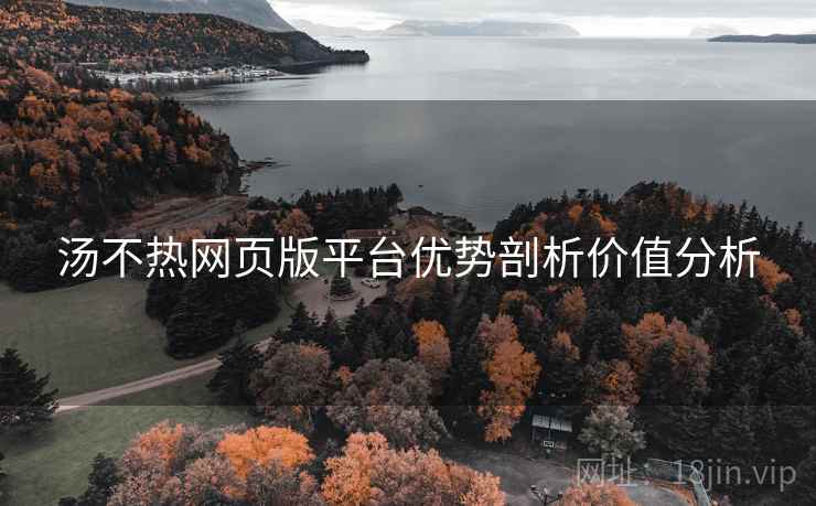 汤不热网页版平台优势剖析价值分析