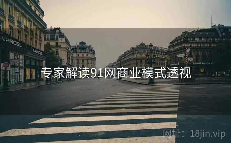 专家解读91网商业模式透视