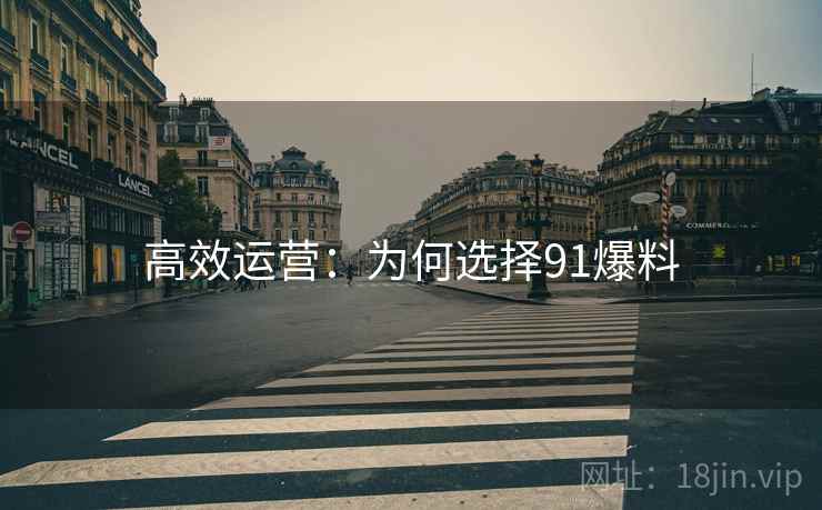 高效运营：为何选择91爆料