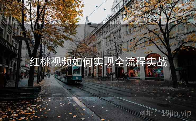 红桃视频如何实现全流程实战