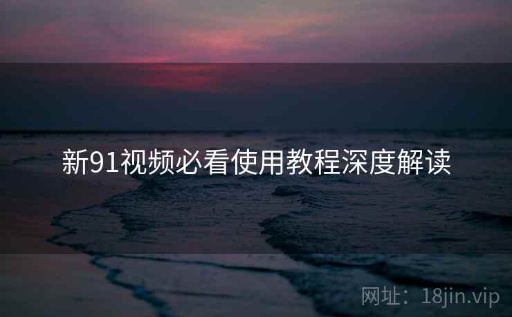 新91视频必看使用教程深度解读