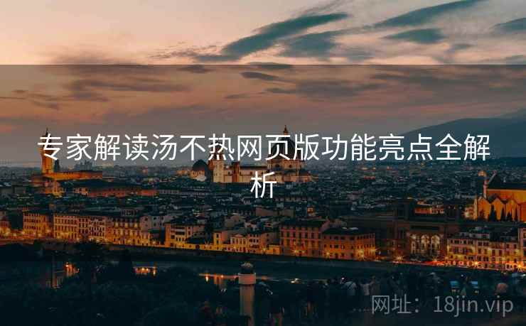 专家解读汤不热网页版功能亮点全解析