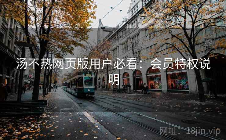 汤不热网页版用户必看:会员特权说明