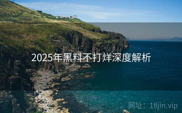 2025年黑料不打烊深度解析