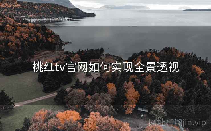 桃红tv官网如何实现全景透视